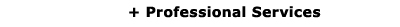 Professional Services